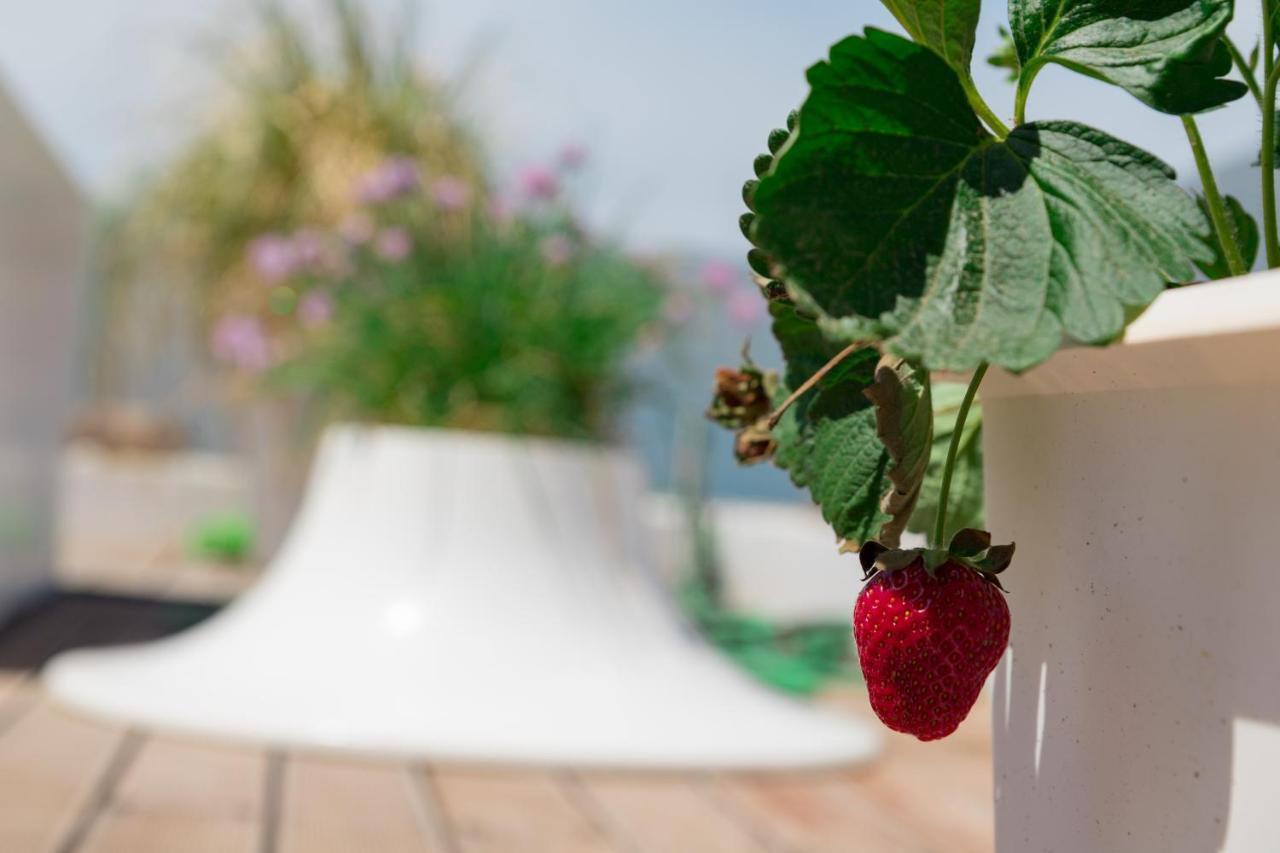 Dreamy Aegean View Apartment Атина Екстериор снимка